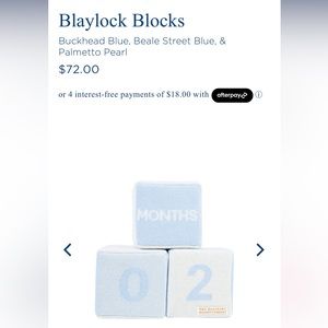 NWT  TBBC Baylock Blocks - blue & white day, week, month, year milestone blocks